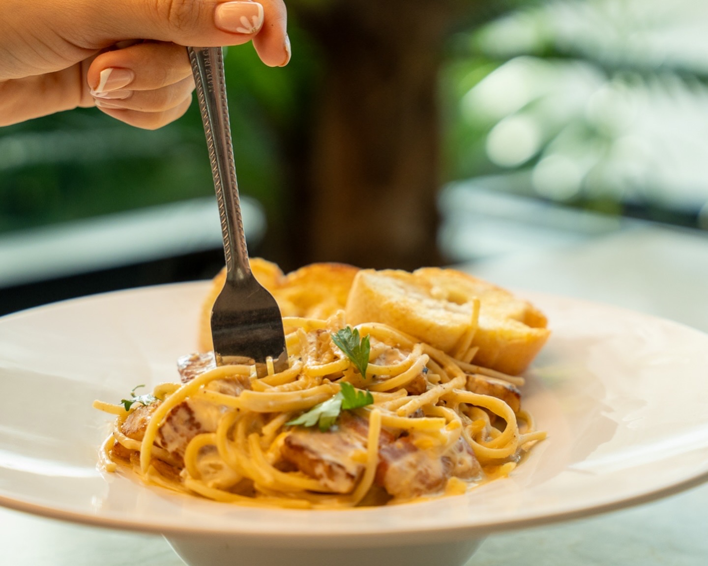 Creamy chicken pasta with toasted bread, featured at Aioli Restaurant & Sips